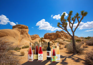 wine bottles desert